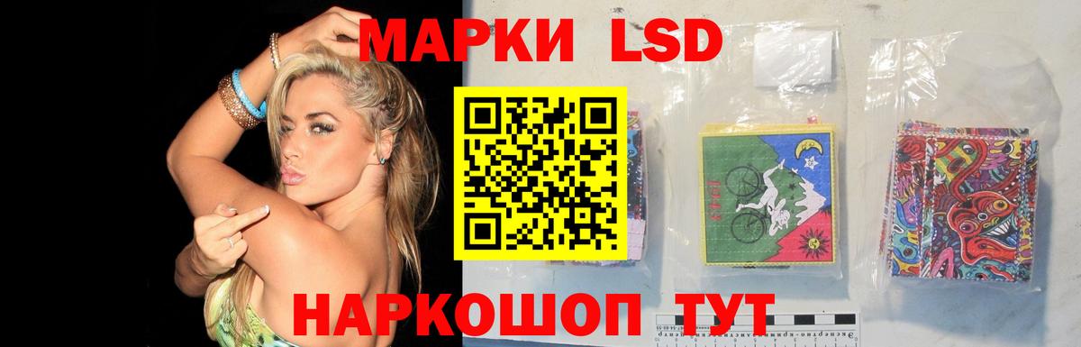 Лсд 25 экстази кислота  Вход с VPN  Курчалой  ЛСД экстази кислота 