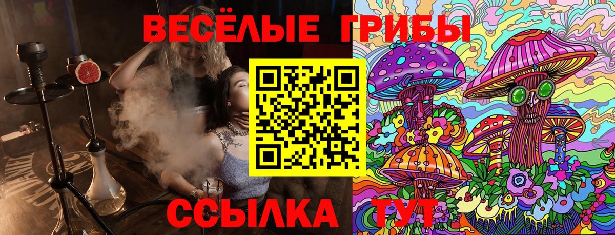 Псилоцибиновые грибы Magic Shrooms  Вход с VPN  Курчалой 