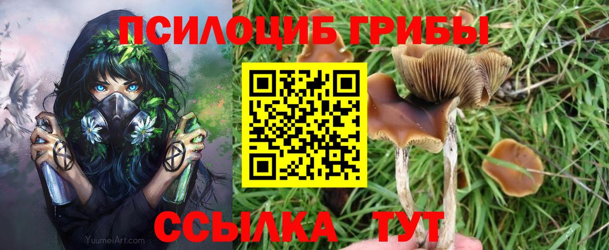 Галлюциногенные грибы Cubensis Курчалой