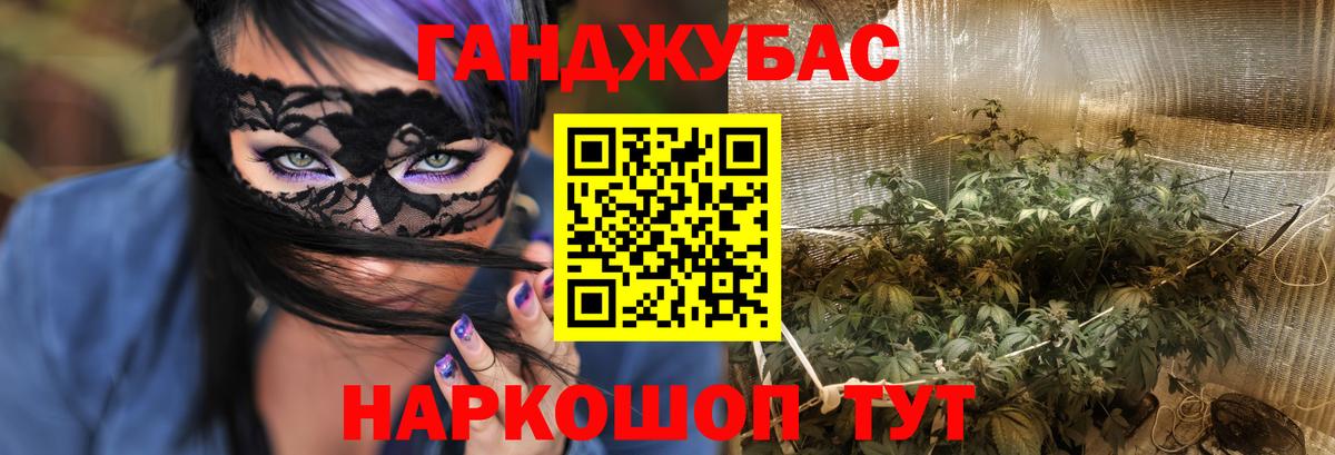 МАРИХУАНА семена Курчалой