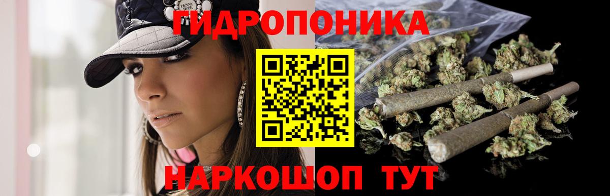 Шишки марихуана индика  Вход с VPN  Канабис SATIVA & INDICA  МАРИХУАНА White Widow  Курчалой 